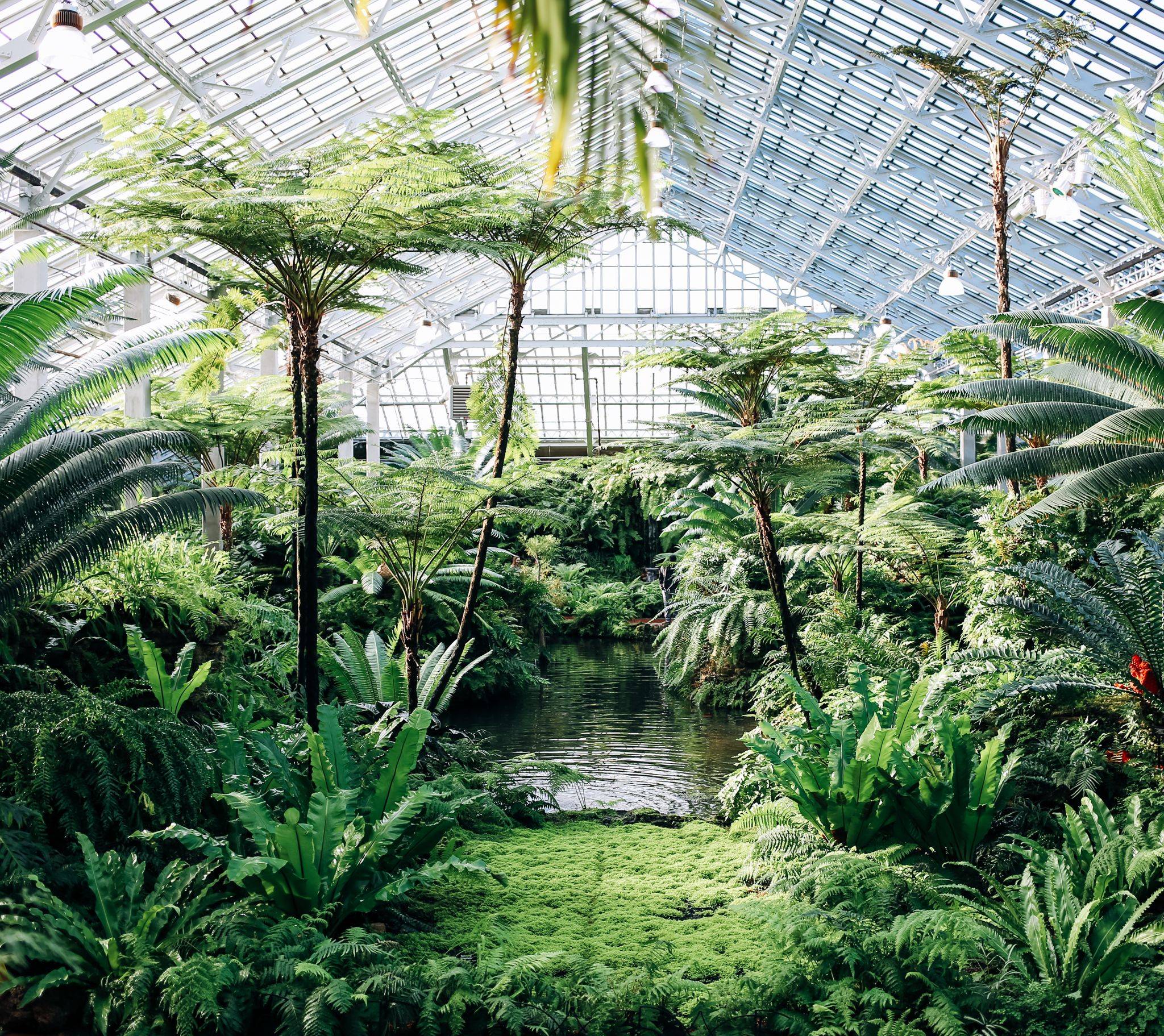 Pin P Chicago Botanical Gardens