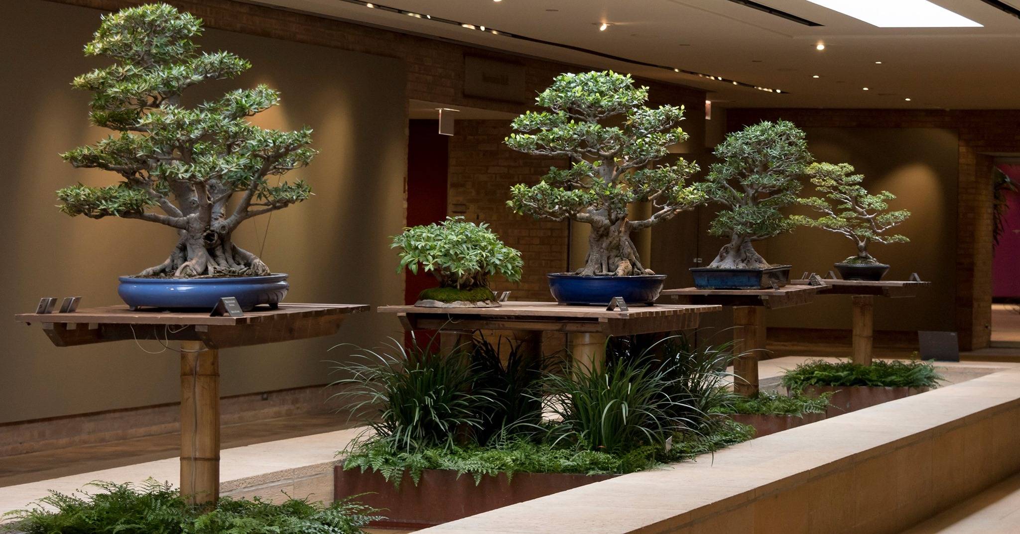 Chicago Botanic Gardens