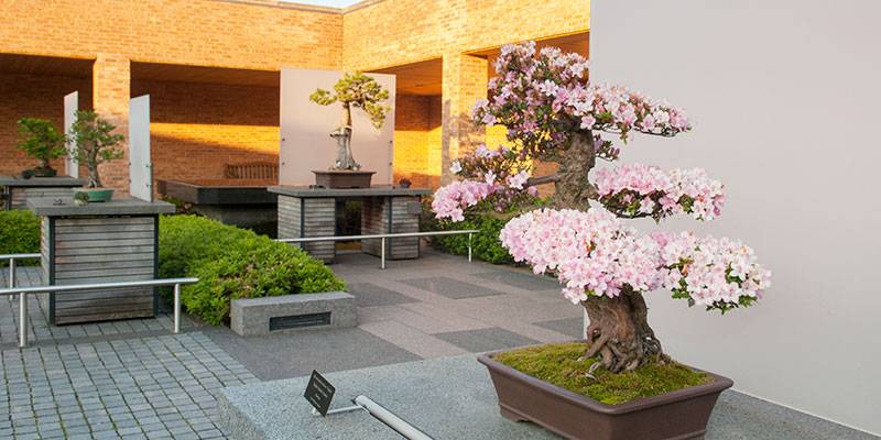 The Chicago Botanic Garden