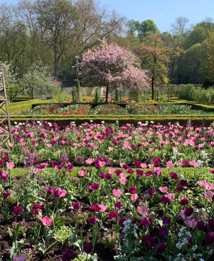 Best Free Botanical Gardens