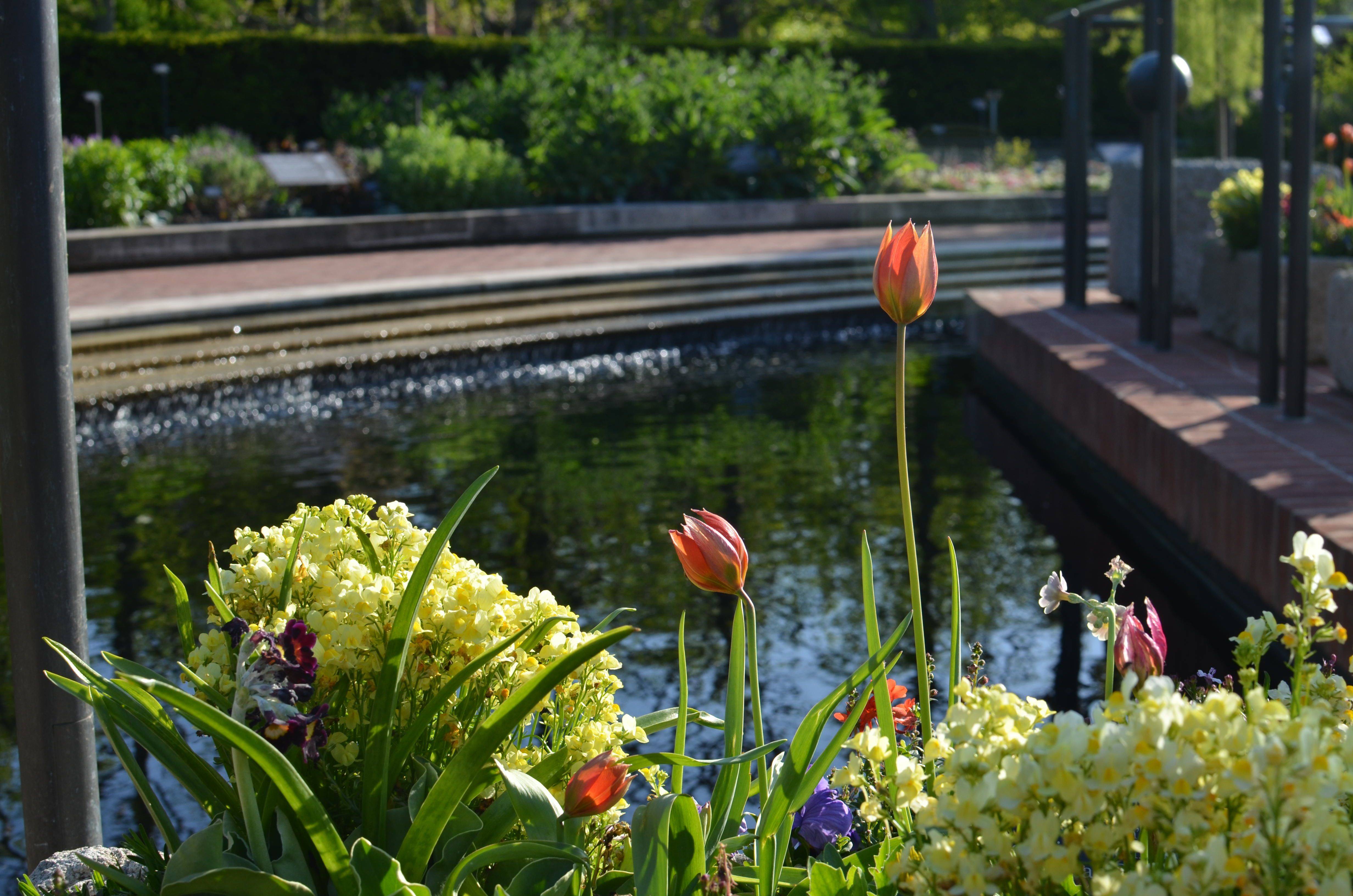 Chicago Botanical Garden Outdoor Spaces