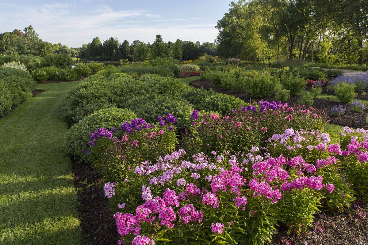 Illinois Flower Gardens Google Search Chicago Botanic Garden