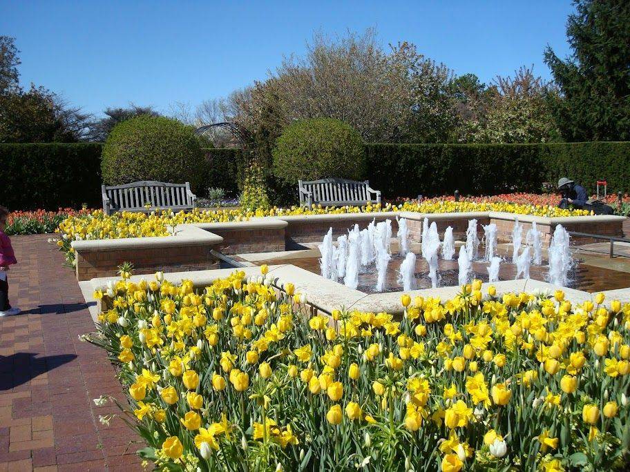 The Chicago Botanic Garden