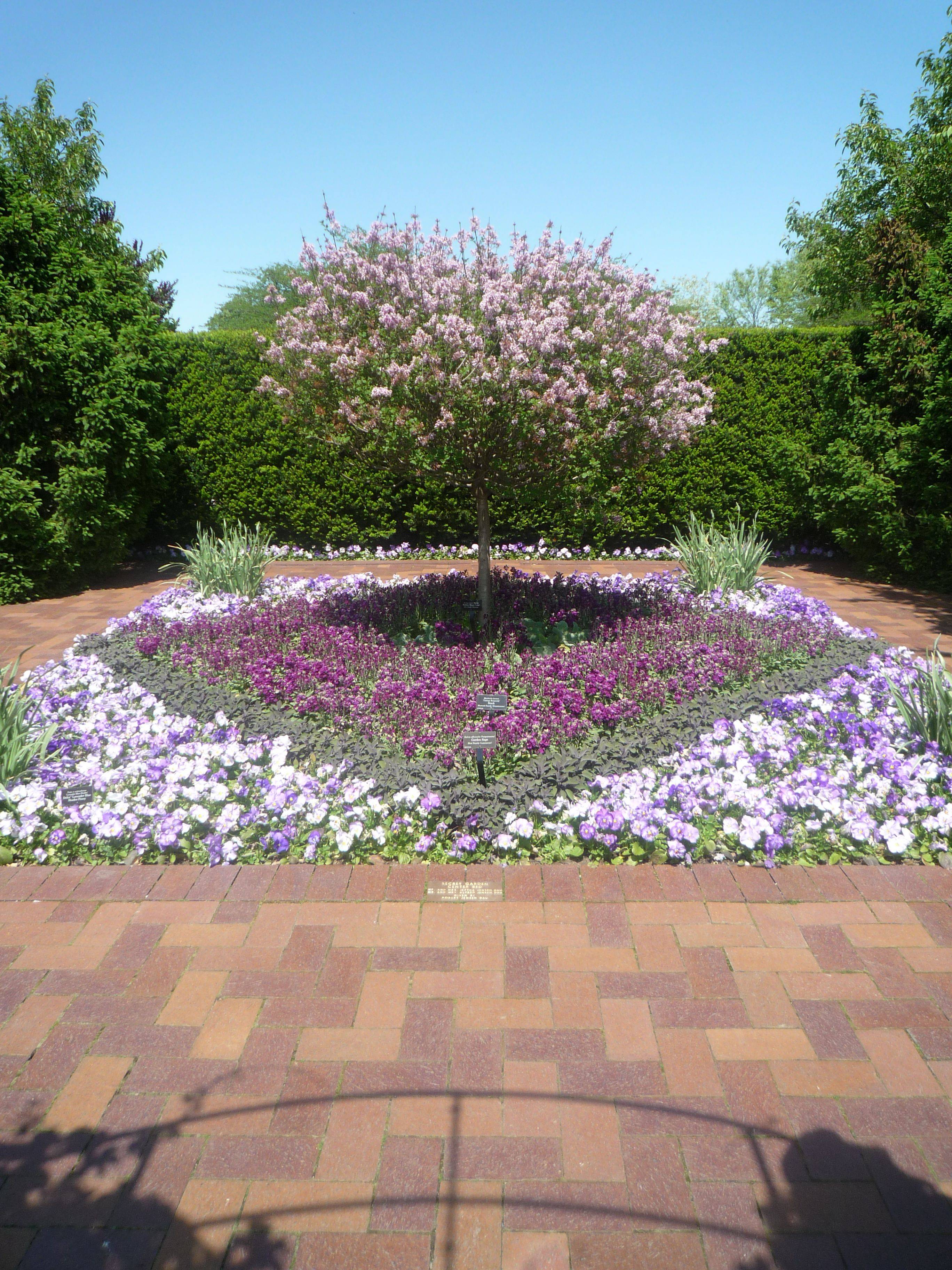 My Chicago Botanic Garden