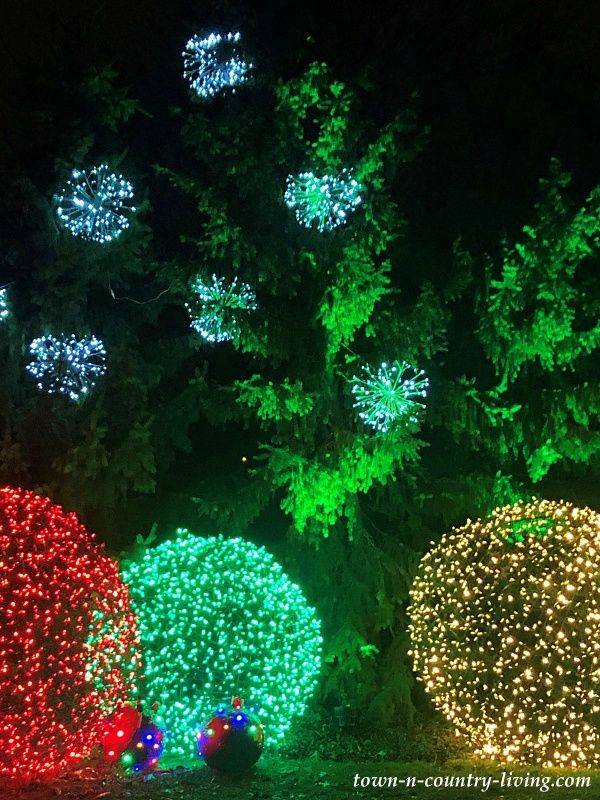 Botanical Gardens Christmas Lights Christmas Lights