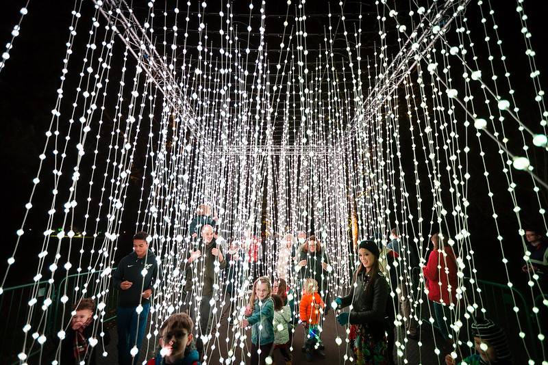 Chicago Botanical Gardens Light Scape Show