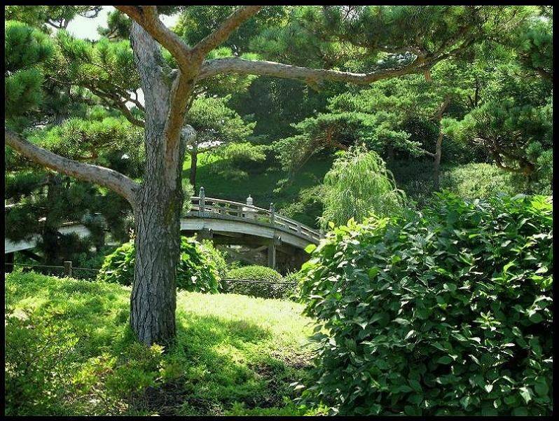 Chicago Botanic Garden Chicago Botanic Garden