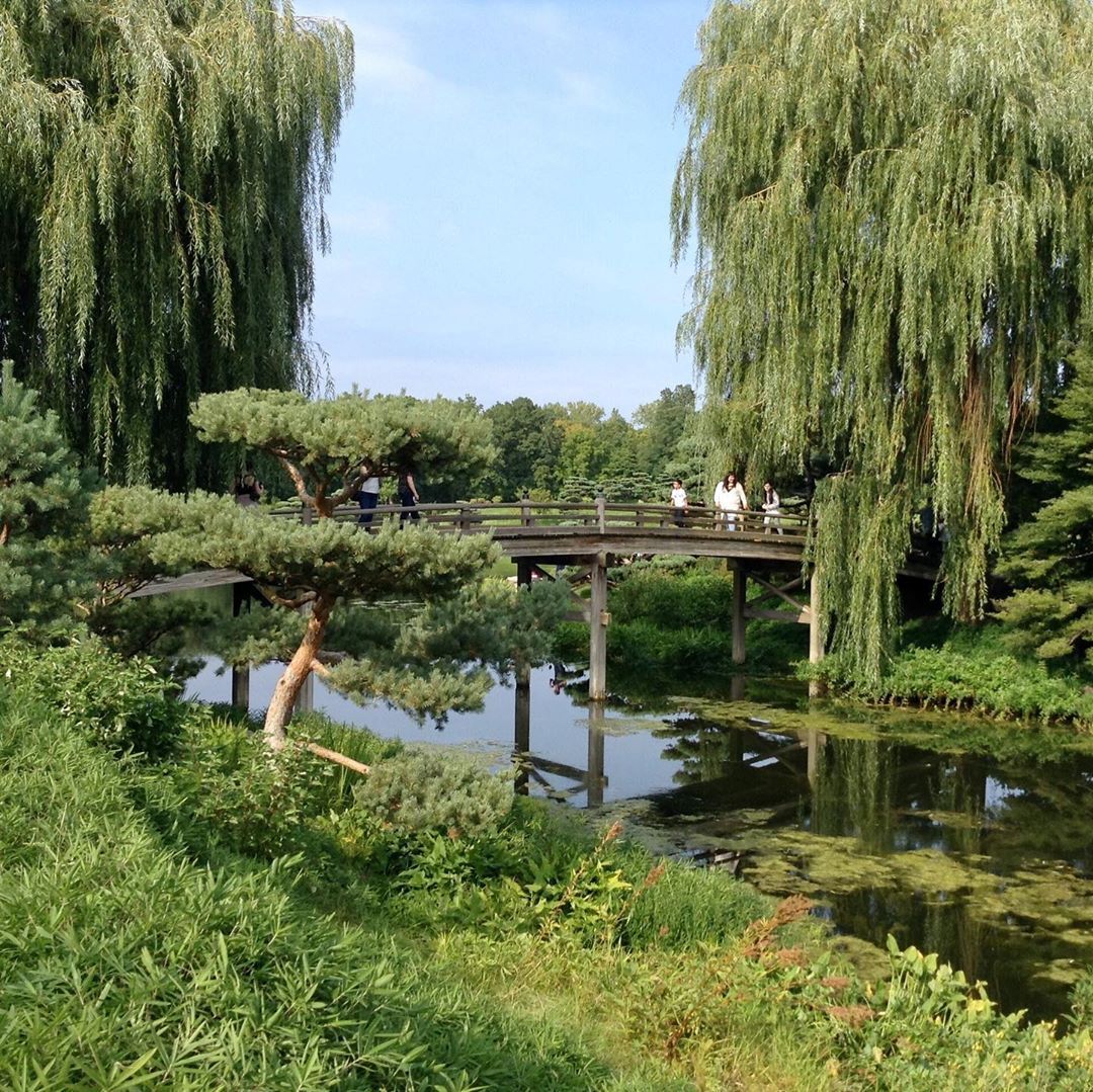 Japanese Garden Chicago Hours