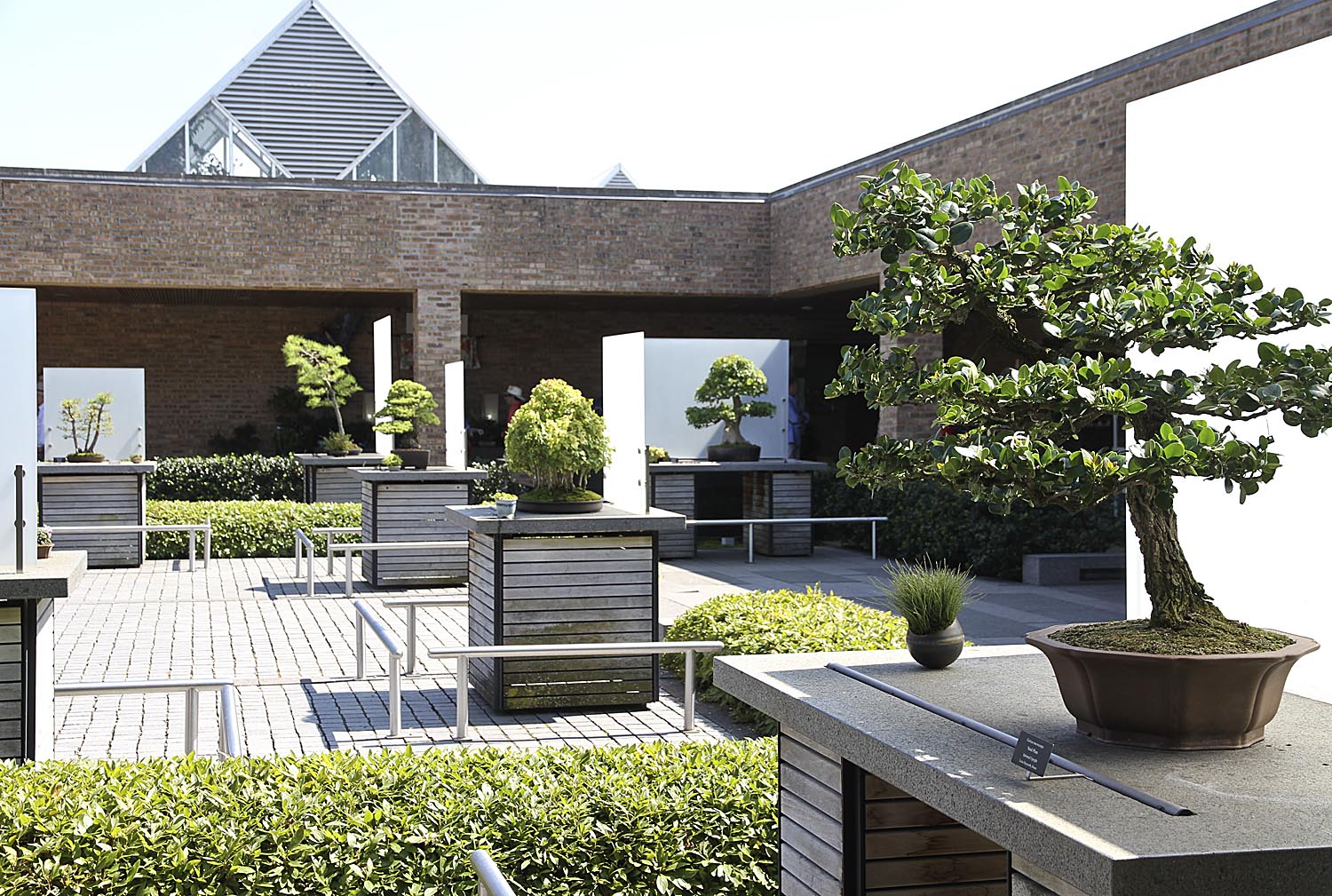 Japanese Garden Chicago Hours