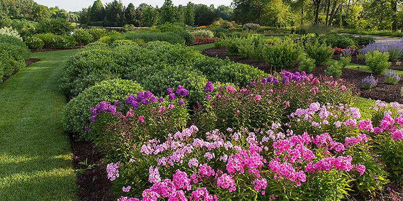 Illinois Flower Gardens Google Search Chicago Botanic Garden