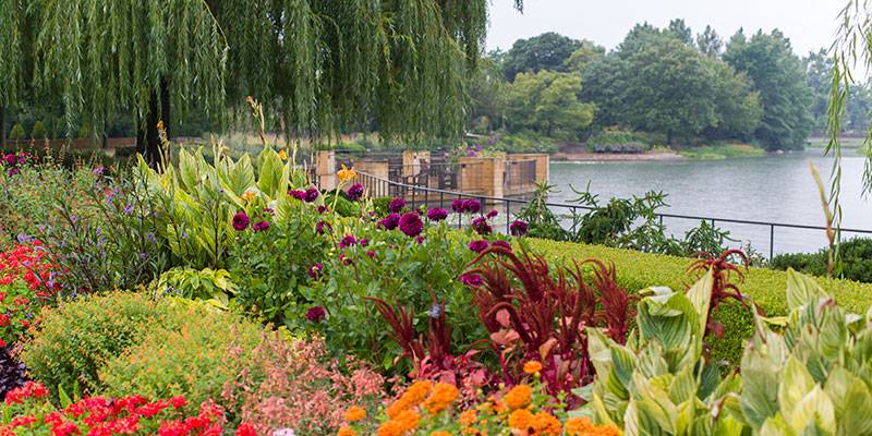 The Chicago Botanic Garden