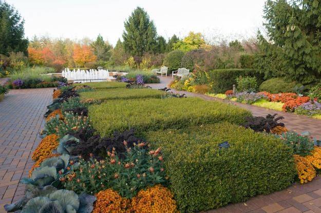 Anne Belmont Photography