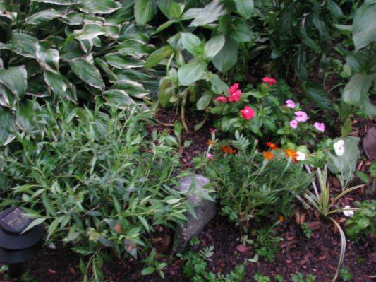 Buehler Enabling Garden