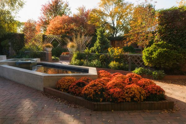 My Chicago Botanic Garden