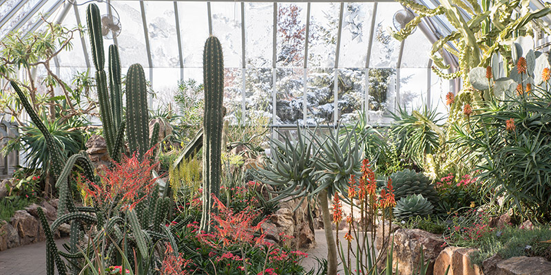 Invitation Chicago Botanic Garden