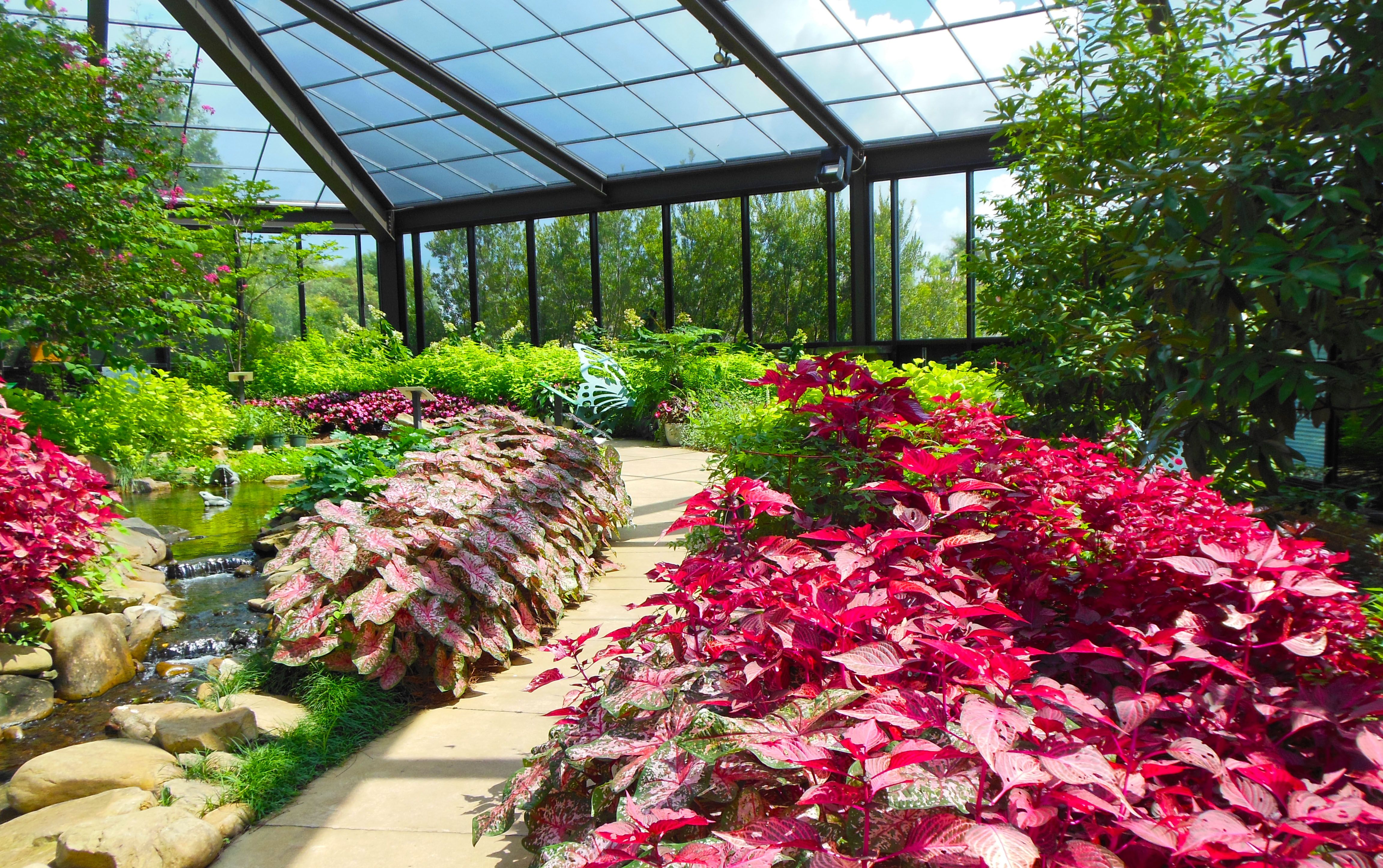 Butterfly Houses