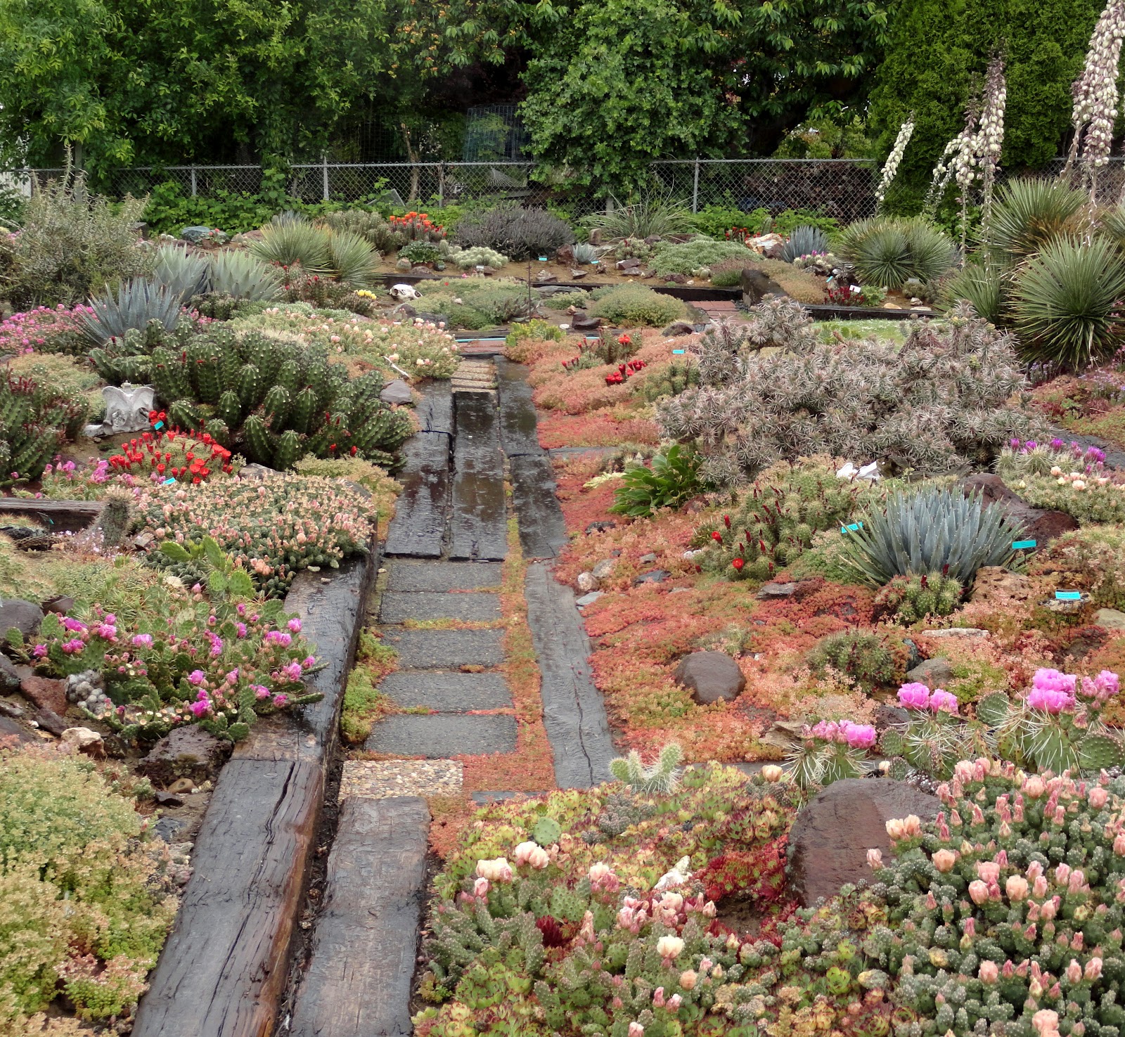 Japanese Botanical Garden Design Ideas