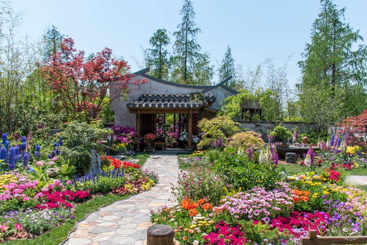 Desert Gardening Simplified Tucson Botanical Gardens
