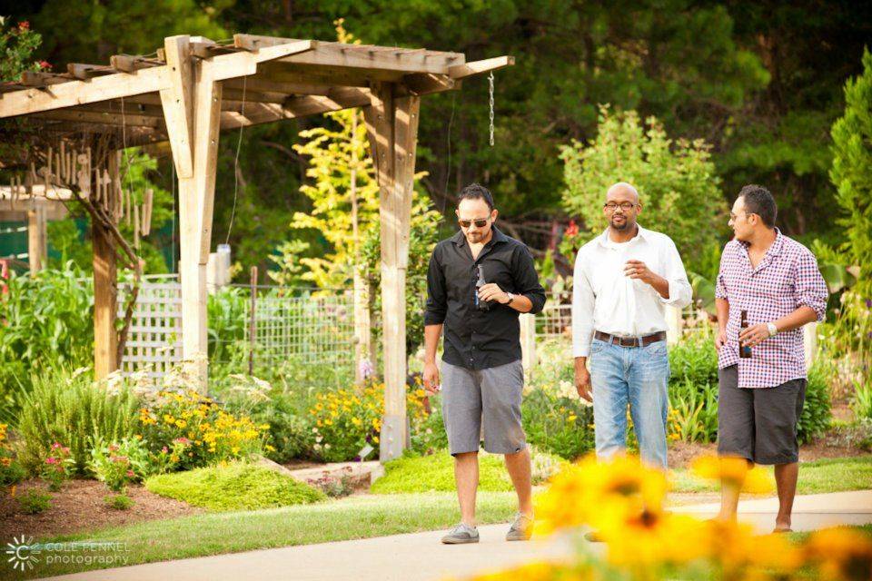 Arkansas Arbor Drape