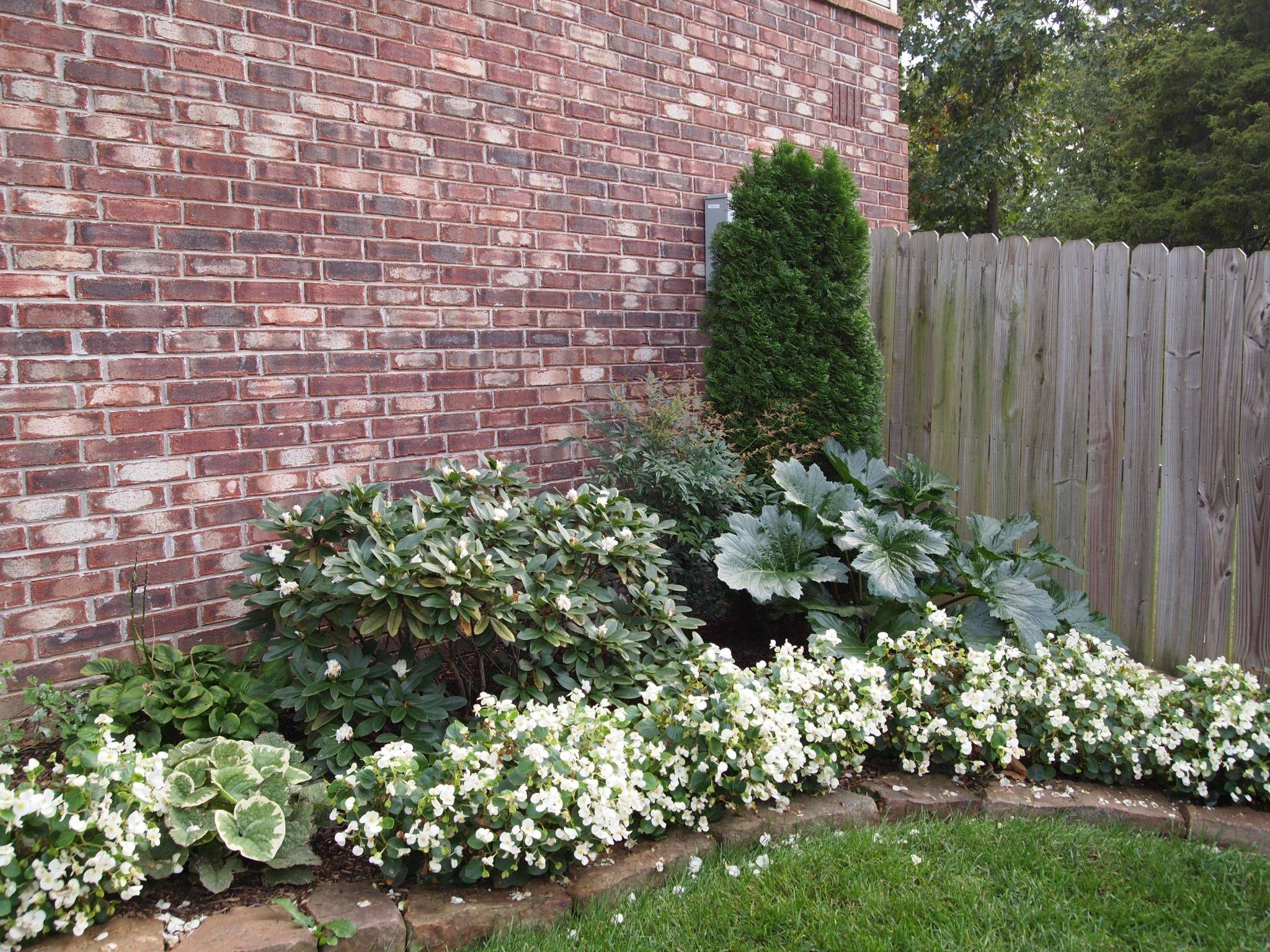 Fine Gardening