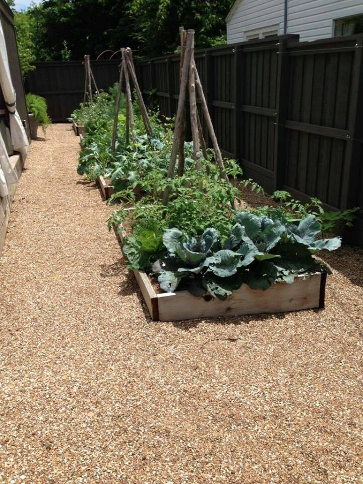 Arkansas Finegardening Fine Gardening