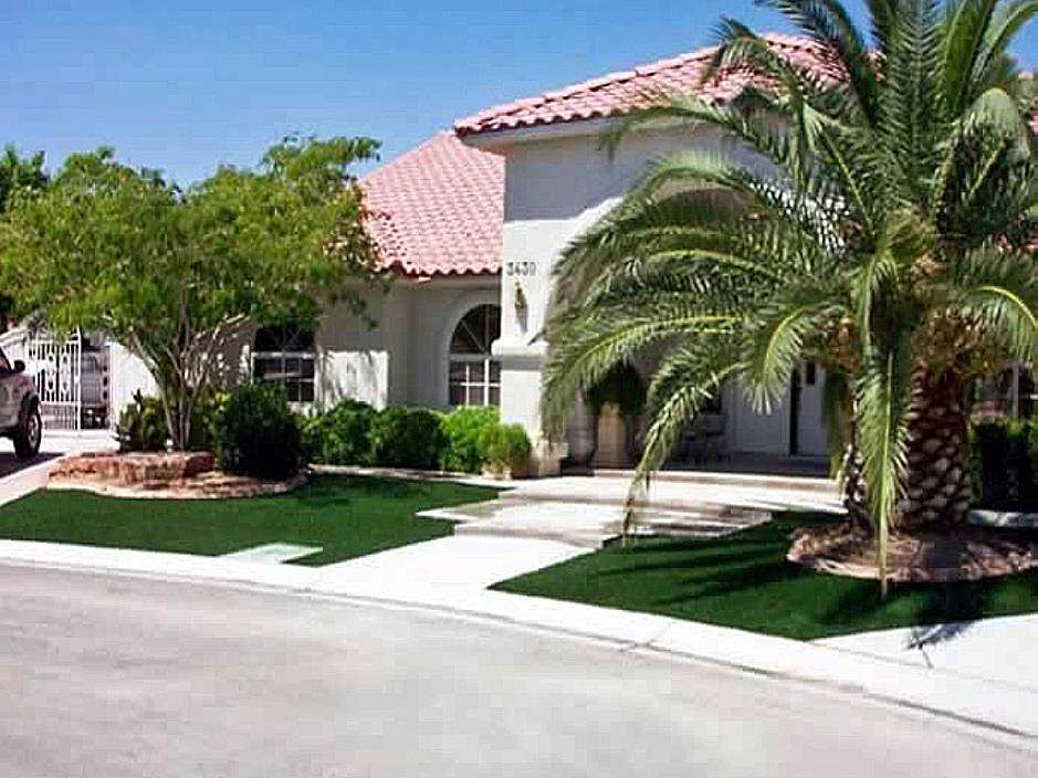 One Year Later Finegardening Landscaping