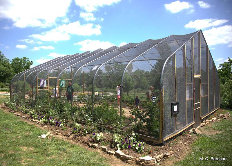 18 Butterfly House Botanical Garden of the Ozarks Ideas For This Year