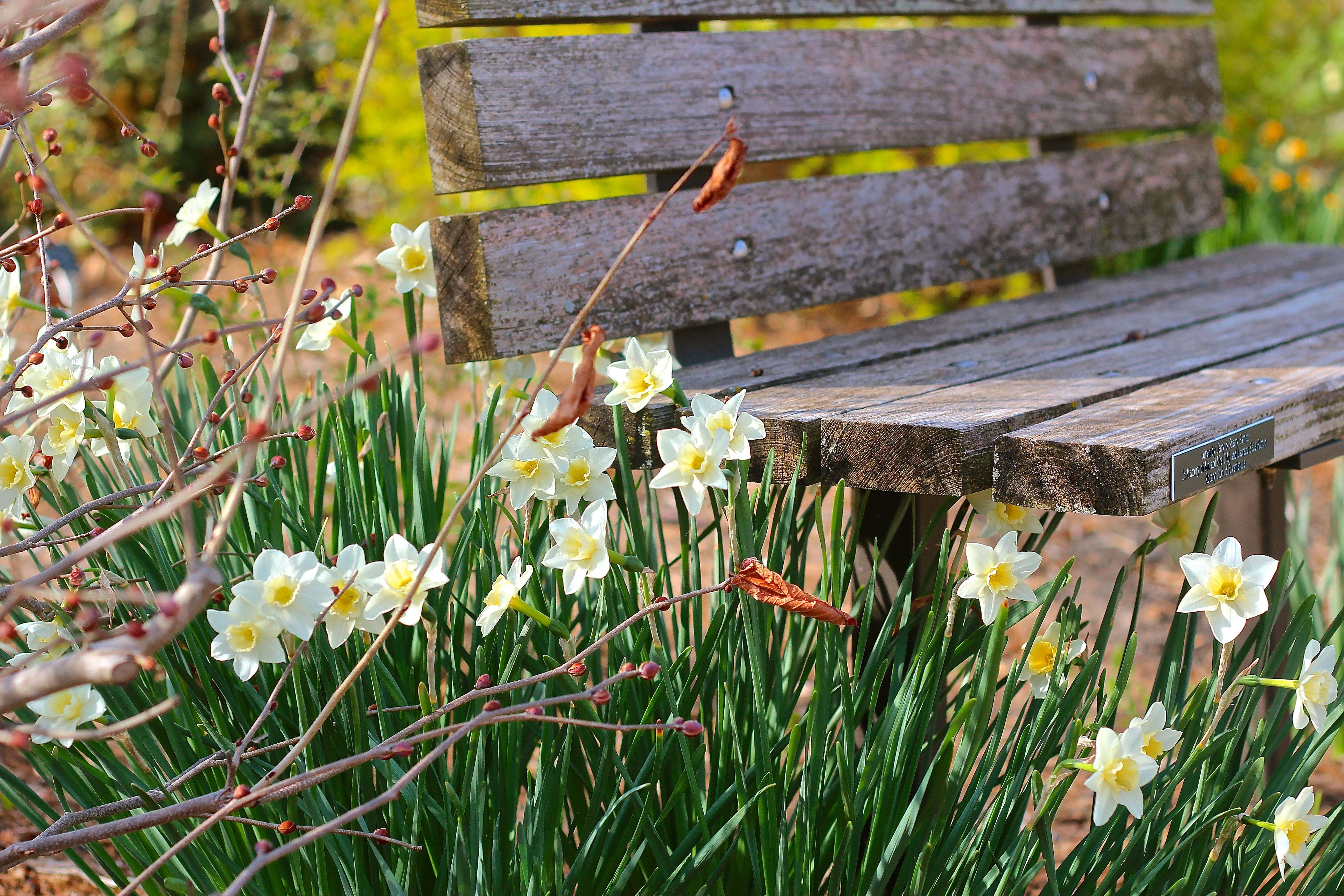 The Ozarks Botanical Gardens