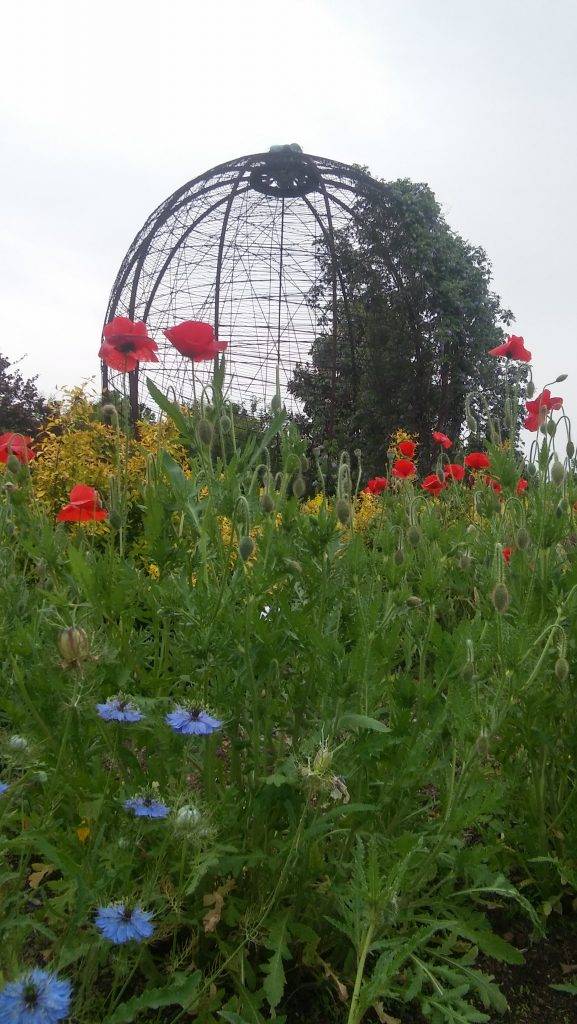 18 Butterfly House Botanical Garden of the Ozarks Ideas For This Year