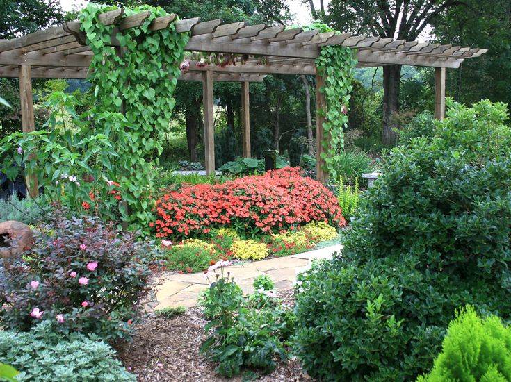 The Botanical Garden