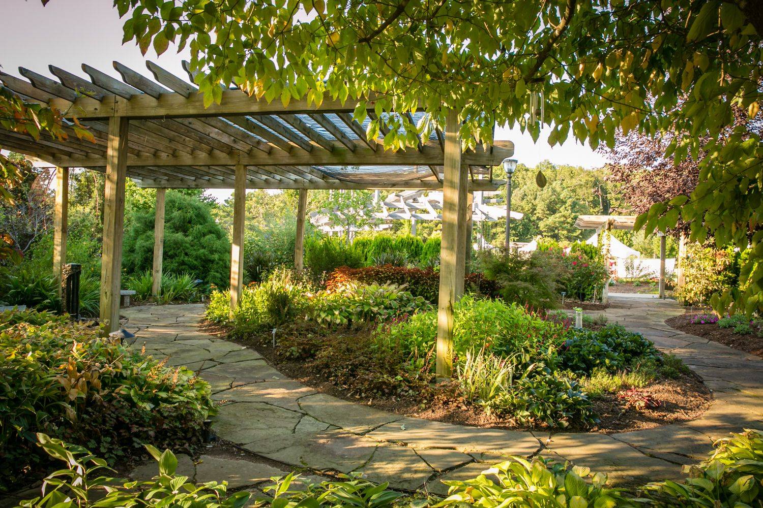 Springfields Butterfly Festival