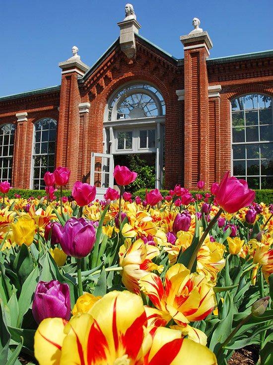 Missouri Botanical Garden Wedding Reception