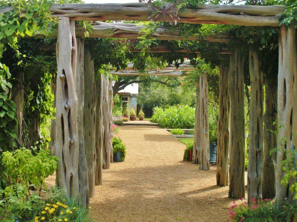 Google Desert Botanical Garden