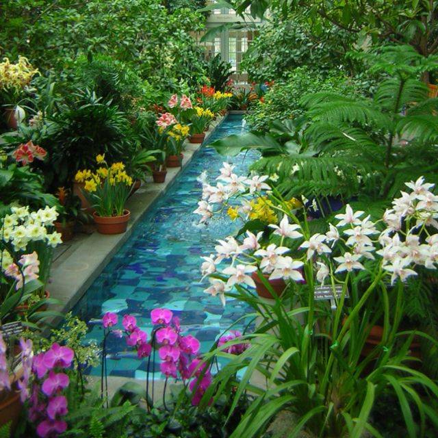 Los Angeles Arboretum Arboretum