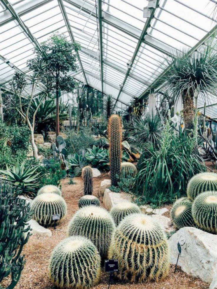 Travel Leaders Rice Lake Jardines Arte Lindo