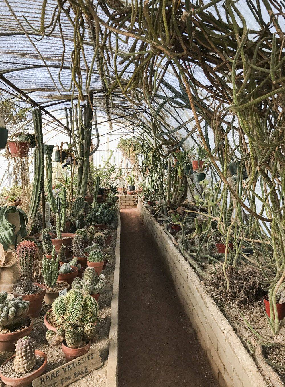 Washington Dc Botanic Gardens