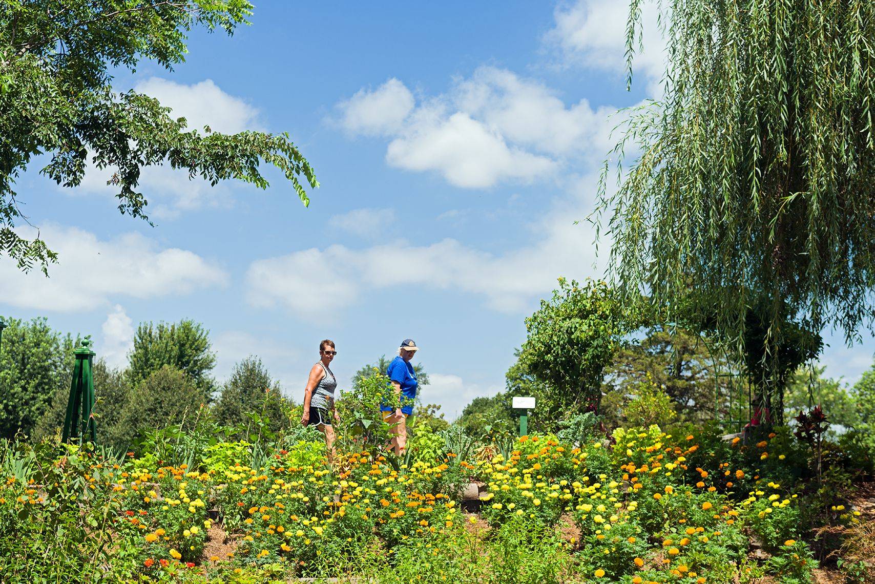 The Worlds Biggest Botanical Garden