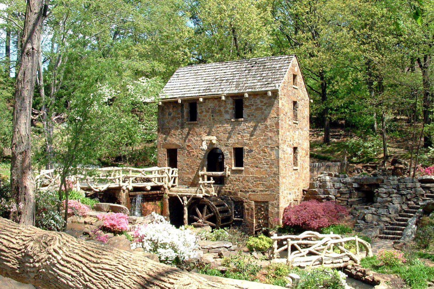A Garden Odyssey