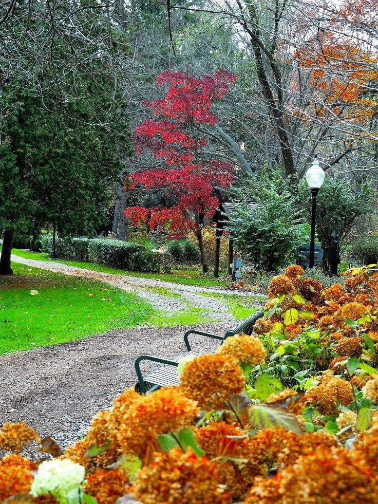 Fort Wayne Botanical Gardens Butterflies