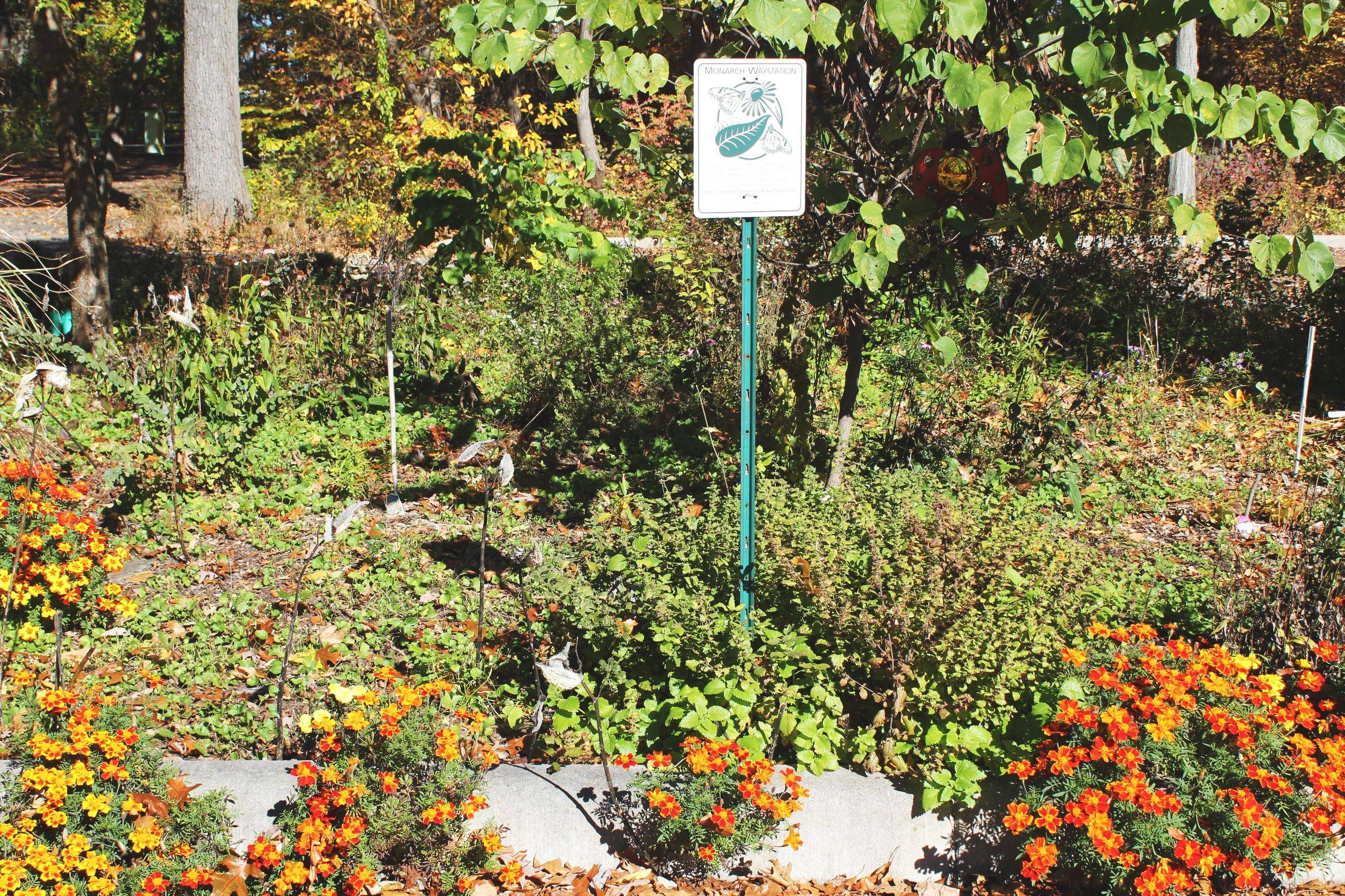 An Indiana Garden Center Garden Center
