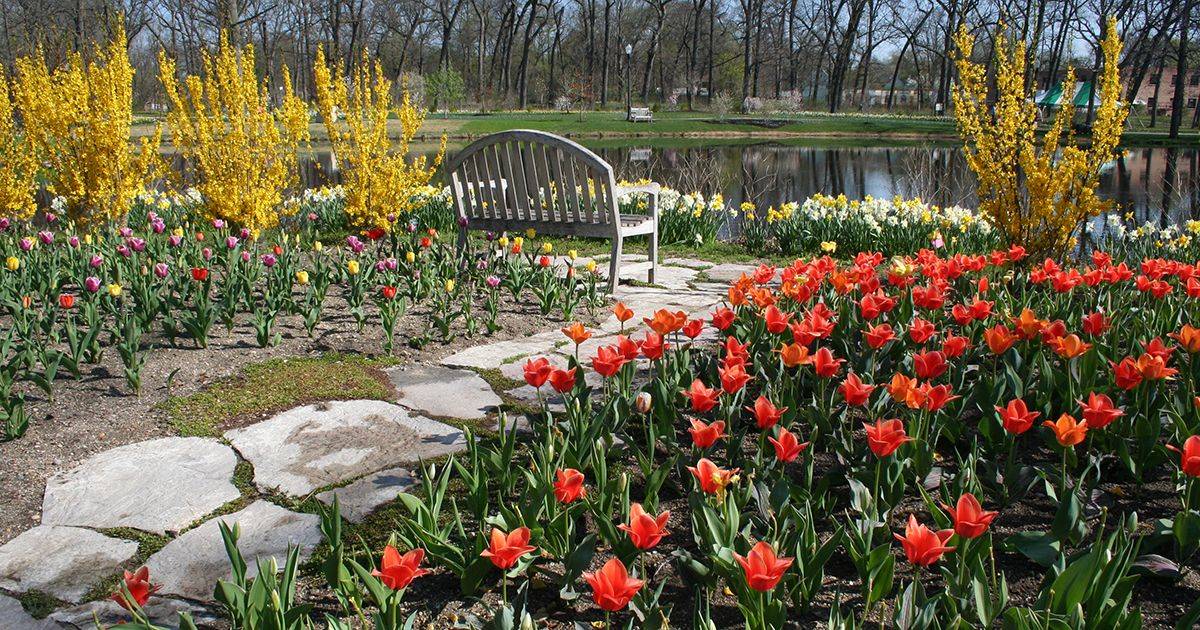 Ogden Gardens Park Valparaiso