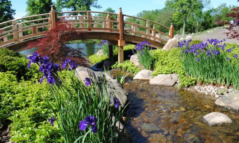 Wellfield Botanic Gardens Botanical Gardens Arboretum Botanical