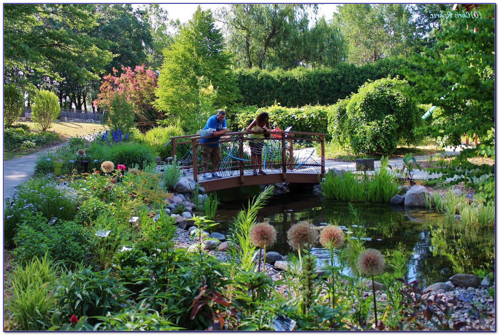 The Brooklyn Botanic Garden