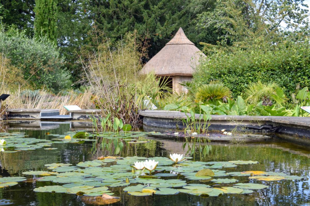 Leiden Botanical Garden
