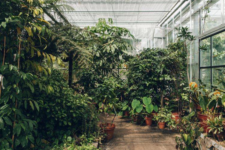 Botanical Garden Ideas