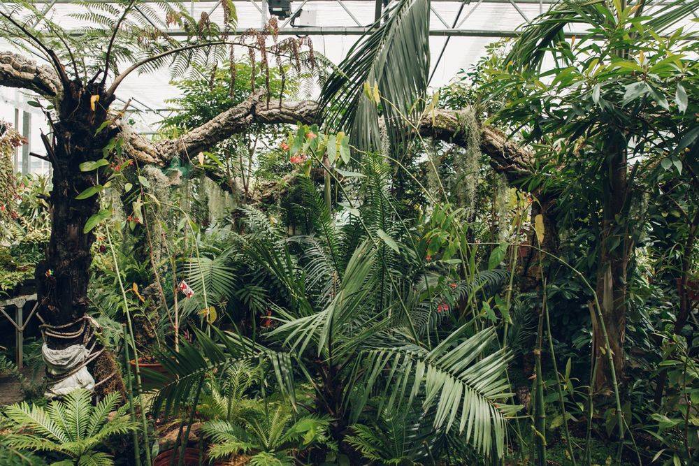 Bristol Botanic Garden