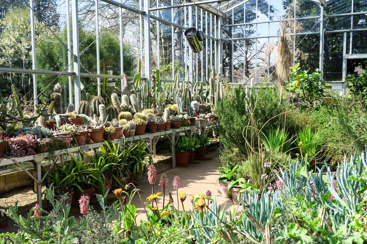 Bristol Botanic Garden Review