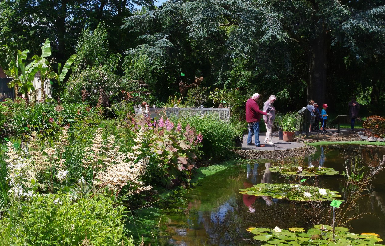 Bristol Botanic Gardens Cafe
