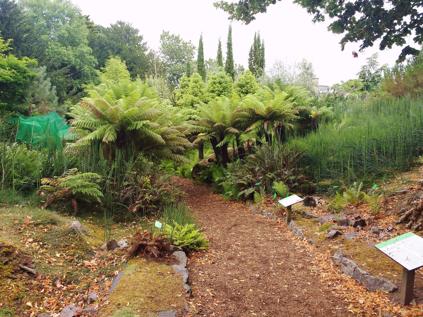 Bristol Botanic Gardens Monalogue