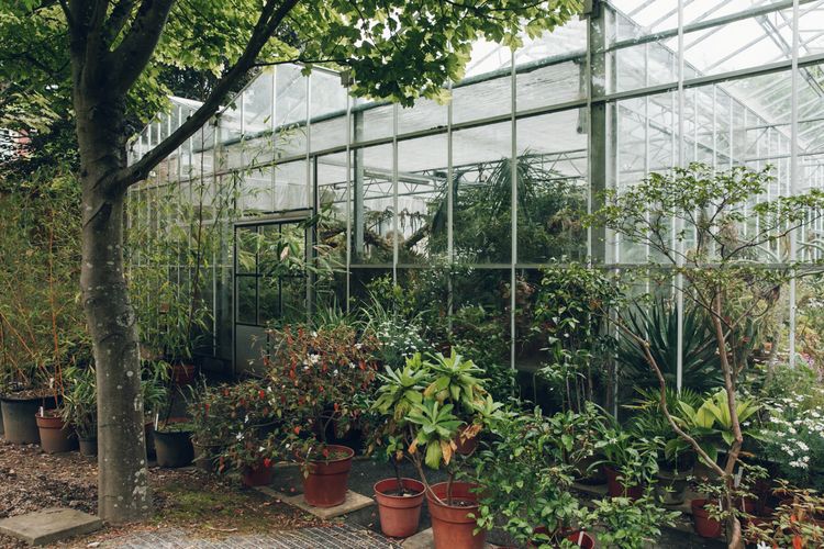 Bristol Botanic Garden
